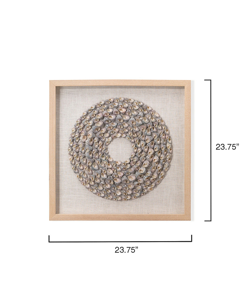 Measurement View. An assortment of natural screw shells are arranged into shrinking concentric circl