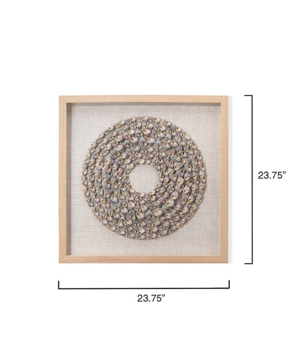 Measurement View. An assortment of natural screw shells are arranged into shrinking concentric circl