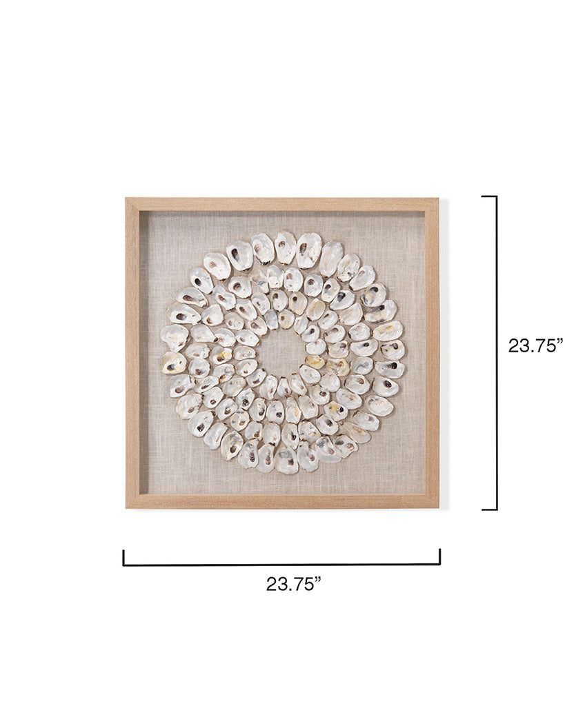 Measurement View. An assortment of natural abalone shells are arranged into shrinking concentric cir