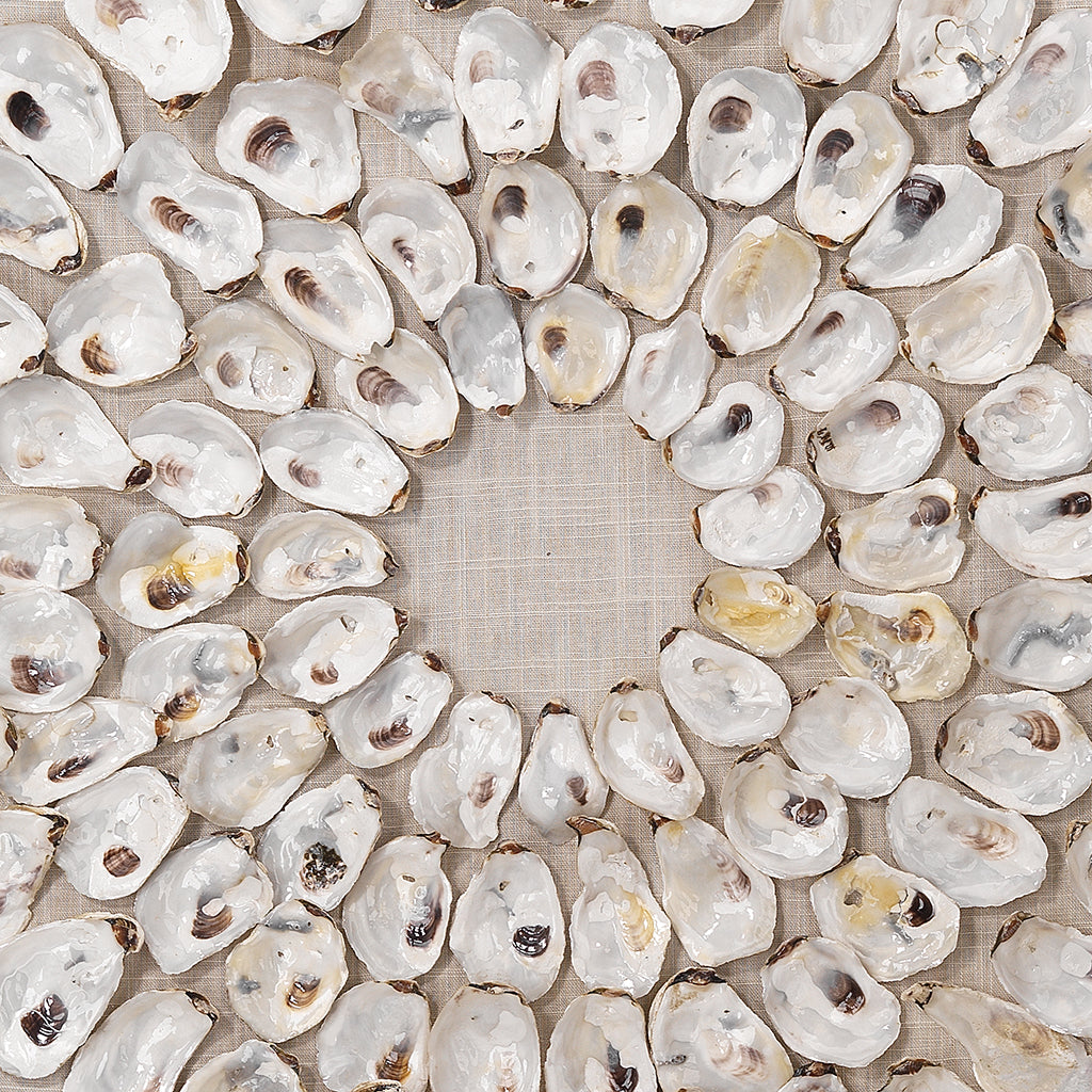 Close-Up View. An assortment of natural abalone shells are arranged into shrinking concentric circle