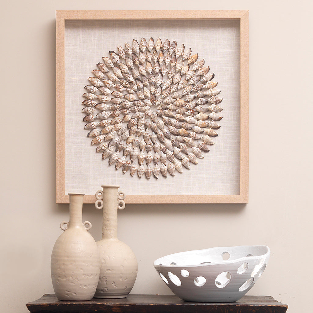 Decorative View. An assortment of natural simnia shells are arranged into shrinking concentric circl