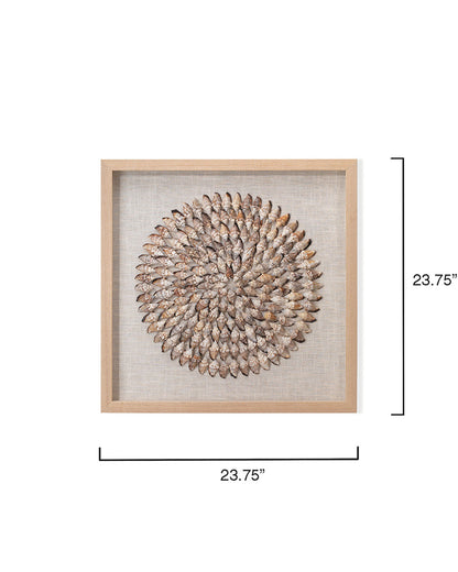 Measurement View. An assortment of natural simnia shells are arranged into shrinking concentric circ