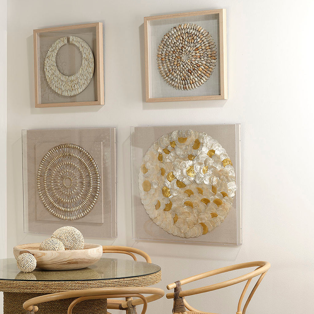 Decorative View. An assortment of natural simnia shells are arranged into shrinking concentric circl