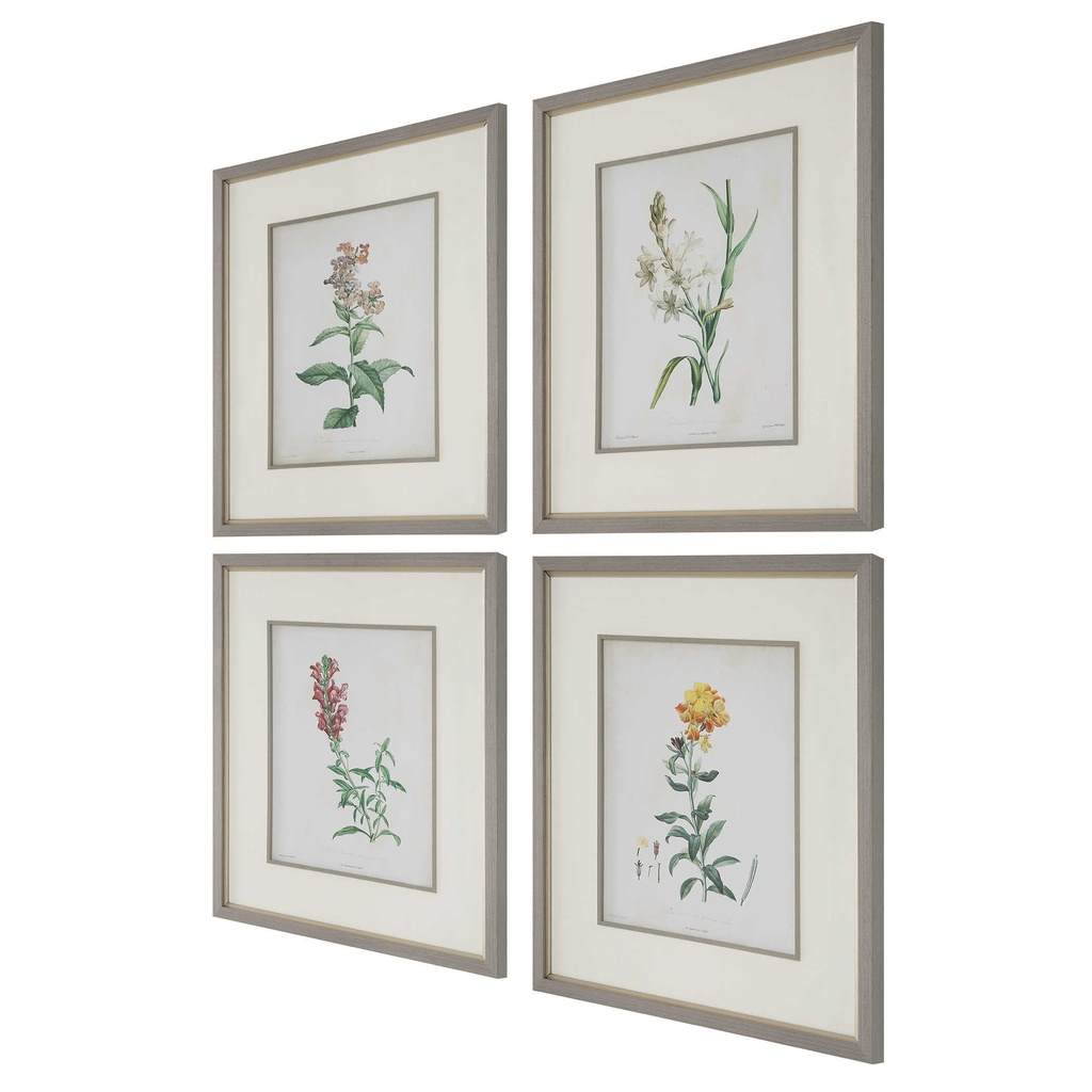 Angle View. The Heirloom Blooms Study is a set of four prints of antique blooms that have been fresh