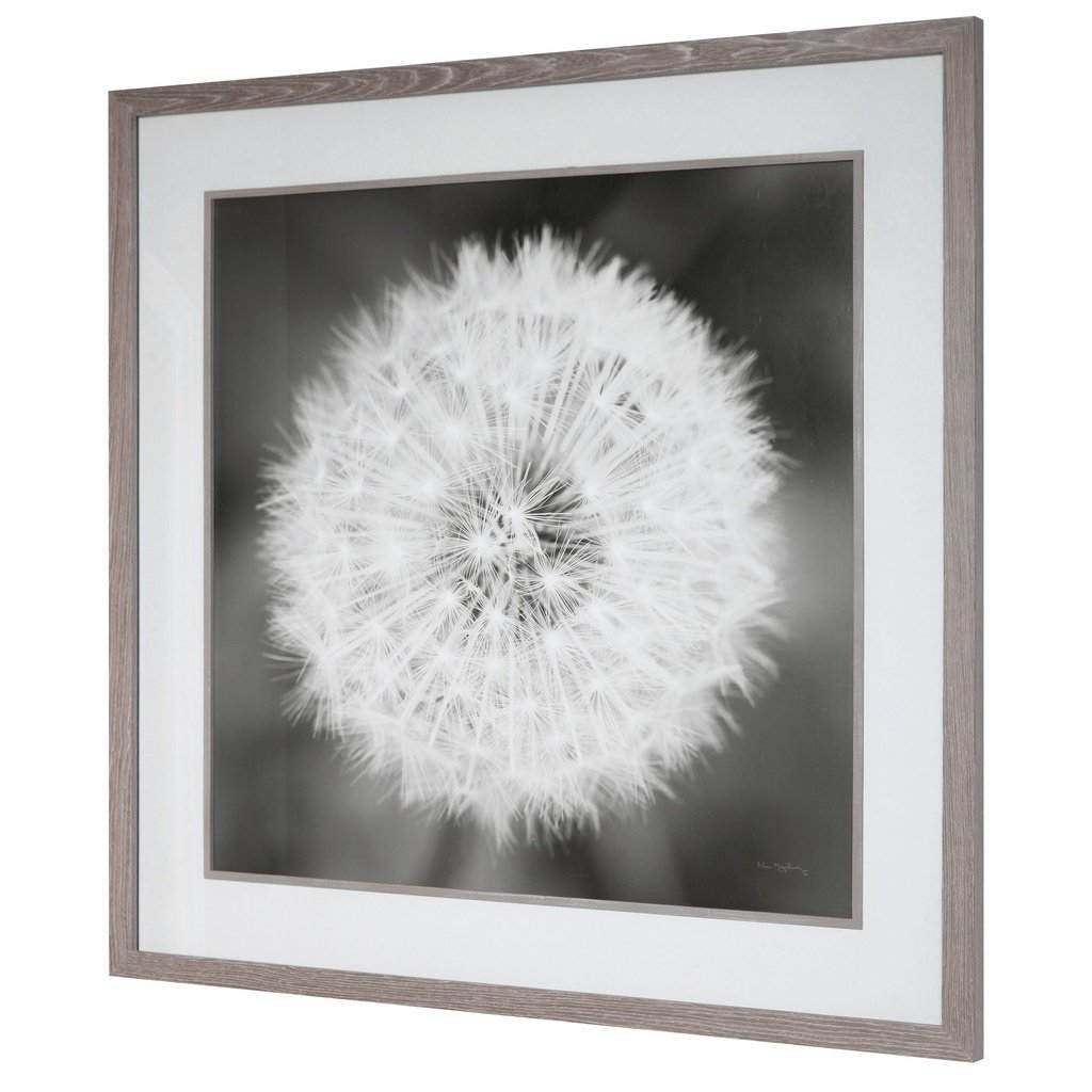 Dandelion Seedhead Framed Print Uttermost
