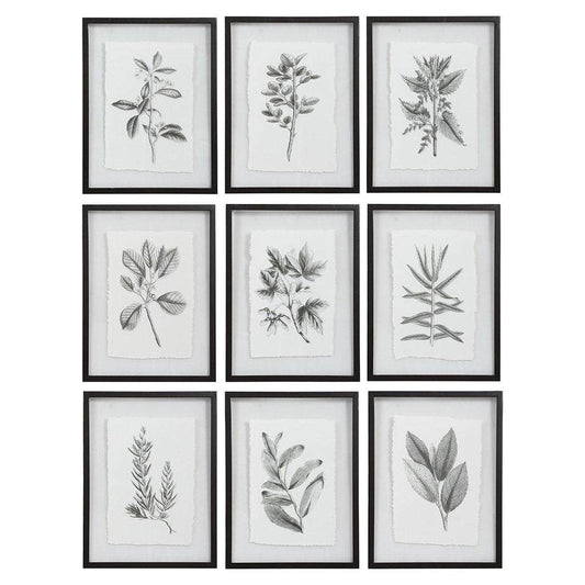 Farmhouse Florals Framed Prints, Set Uttermost