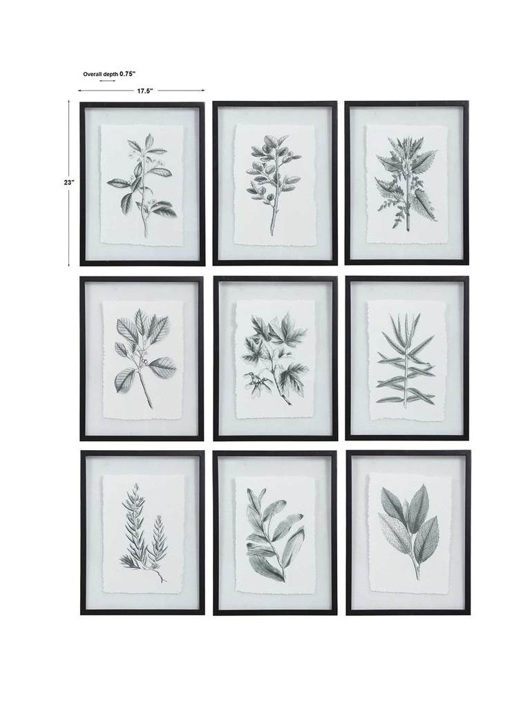 Farmhouse Florals Framed Prints, Set Uttermost