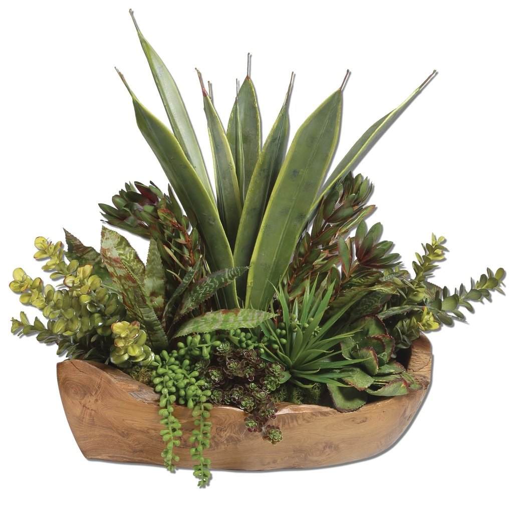 Salar Succulents Teak Bowl Uttermost